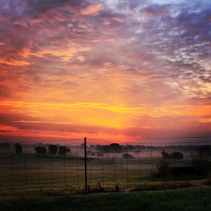 Sunrise on South Farm